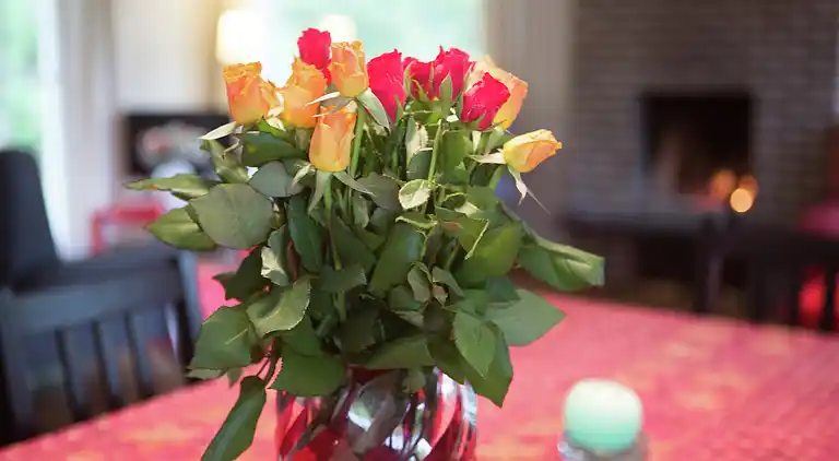 Holiday home in Westmalle