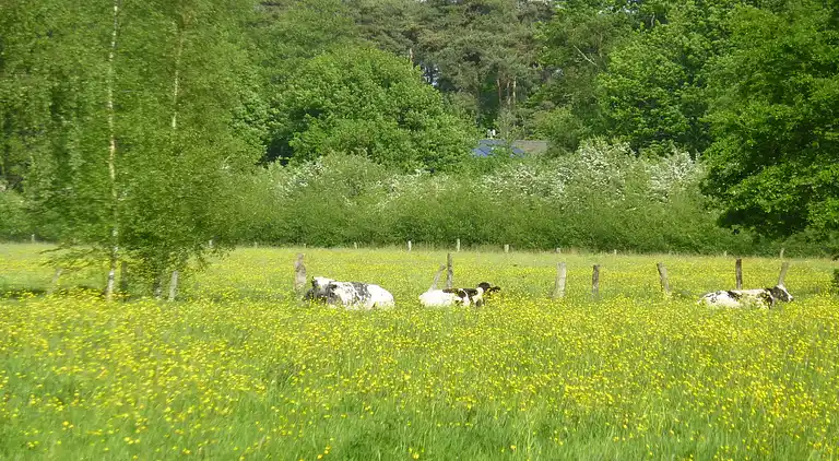 Holiday home in Brasschaat