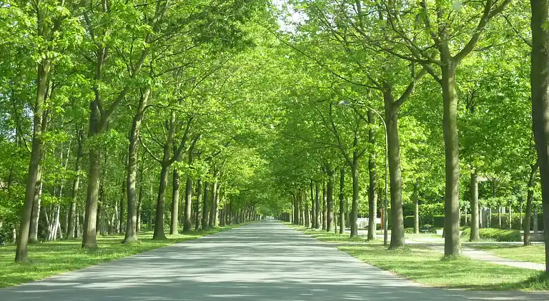 Holiday home in Brasschaat