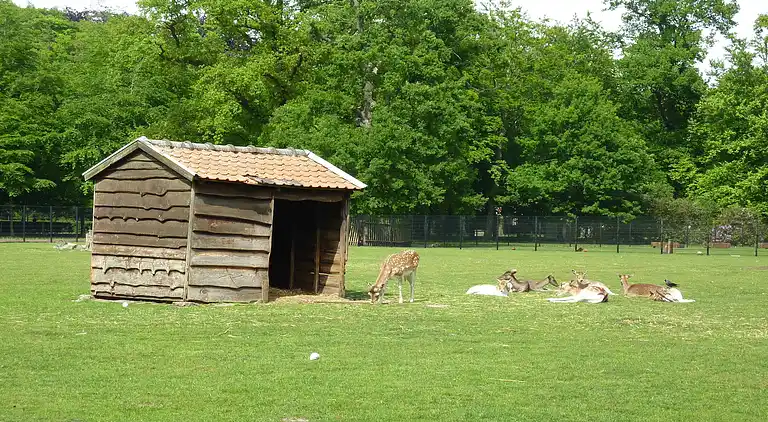Holiday home in Brasschaat