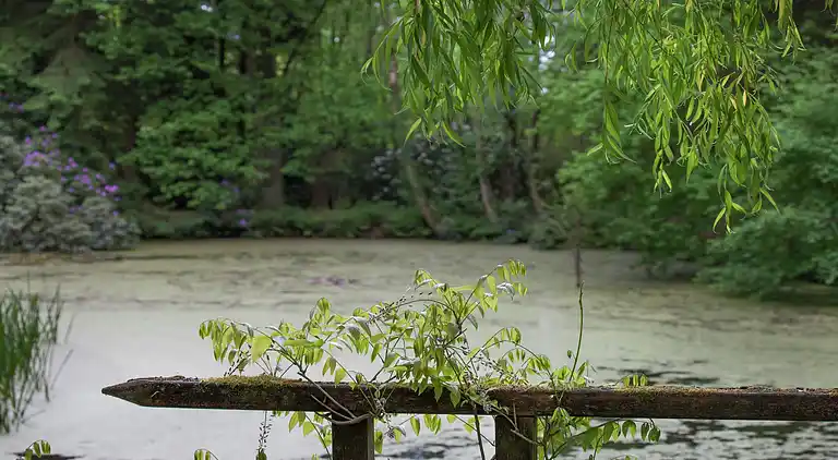 Cottage in Opglabbeek