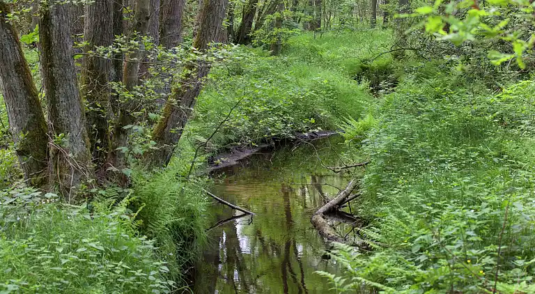 Cottage in Opglabbeek