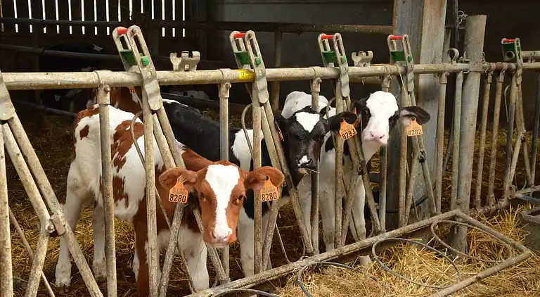 Holiday home in Teuven