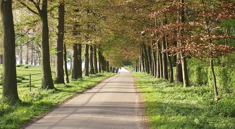 Holiday home in Borgloon