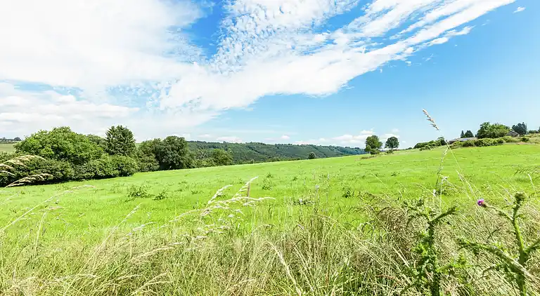 Holiday home in Europe