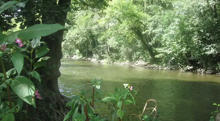 Holiday home in Hamoir
