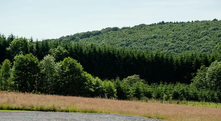 Cottage in Ferrières