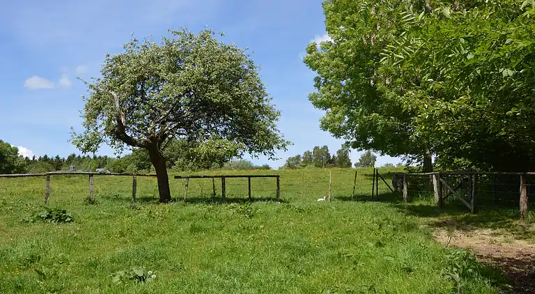 Maison de vacances en Ferrières