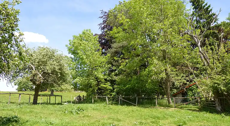 Maison de vacances en Ferrières