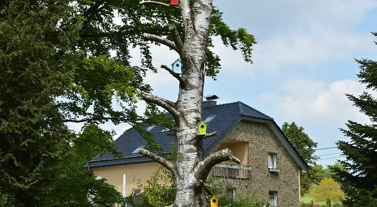 Holiday home in Elsenborn
