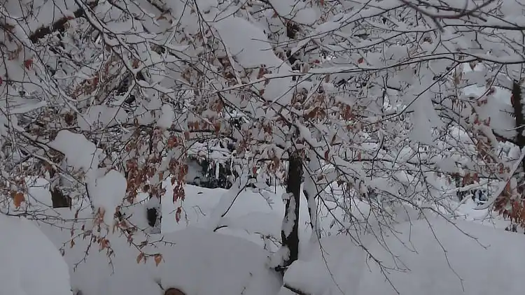 Holiday home in Leykaul