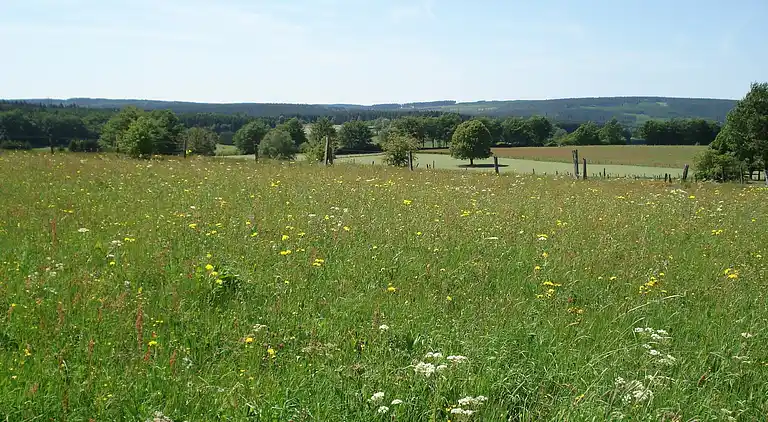 Holiday home in Leykaul