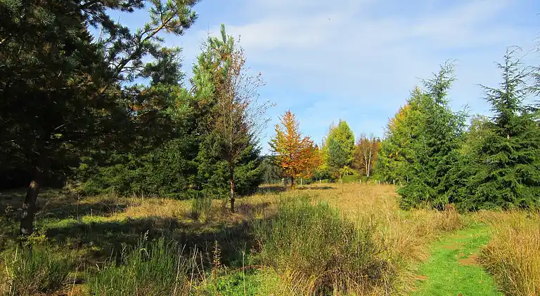 Sommerhus i Bütgenbach
