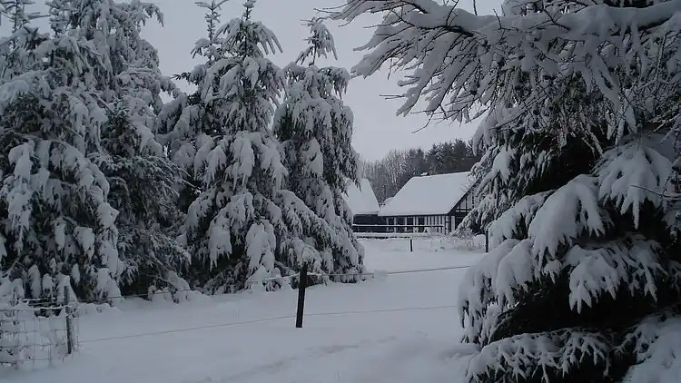 Sommerhus i Bütgenbach
