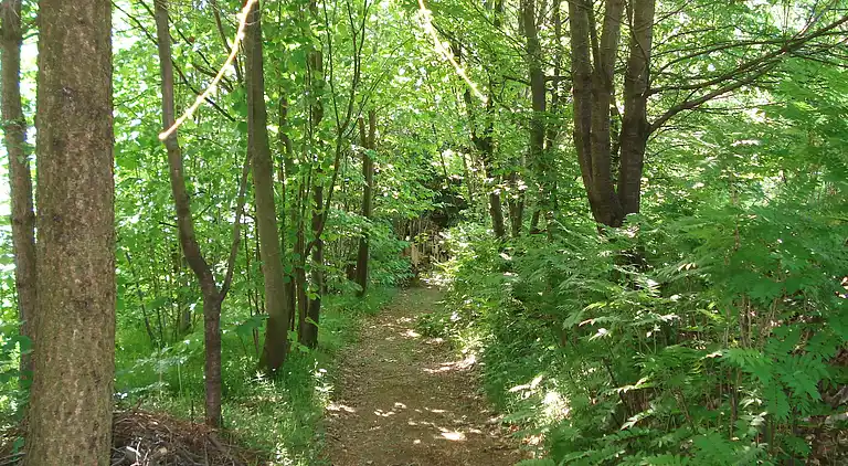 Holiday home in Bütgenbach