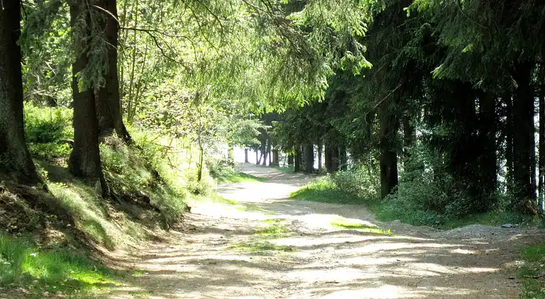 Cottage in Rocherath