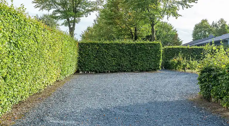 Bungalow in Rocherath