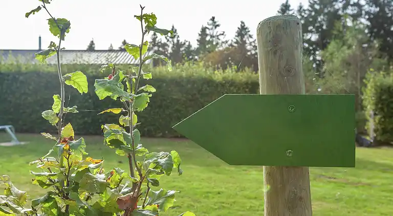 Bungalow in Rocherath