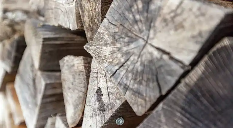 Bungalow in Rocherath