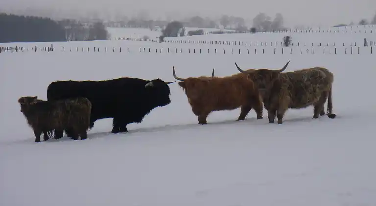 Holiday home in Amel