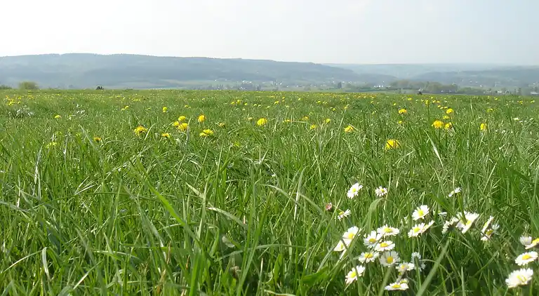 Holiday home in Amel