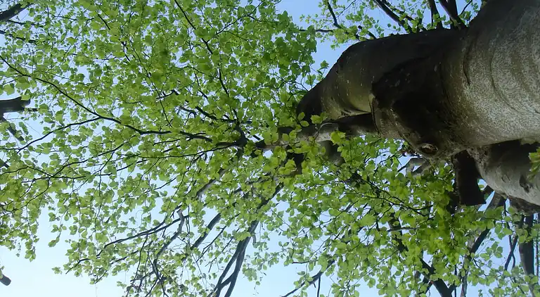 Holiday home in Amel