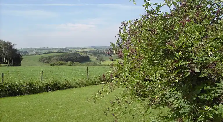 Holiday home in Heppenbach