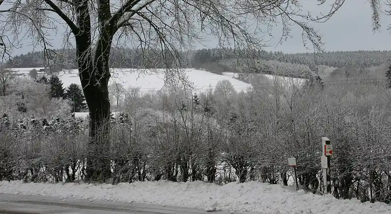 Holiday home in Amel