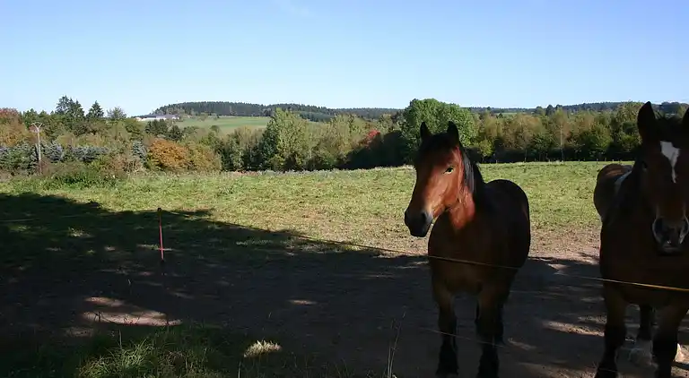 Holiday home in Amel