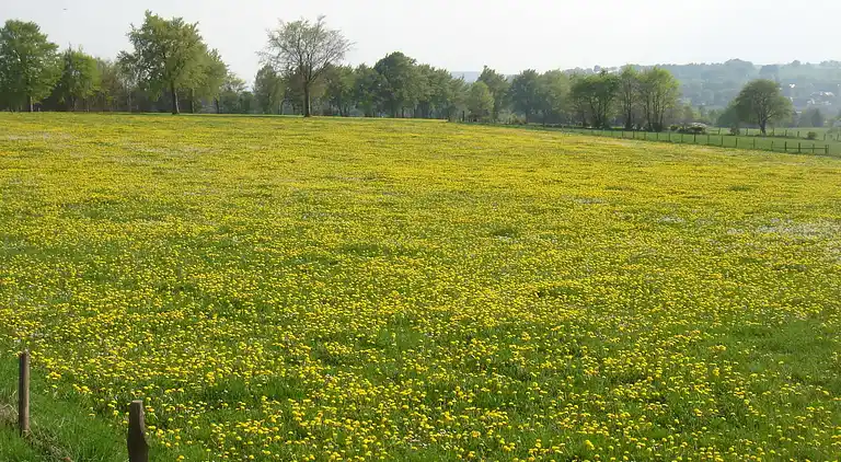 Ferielejlighed i Amel