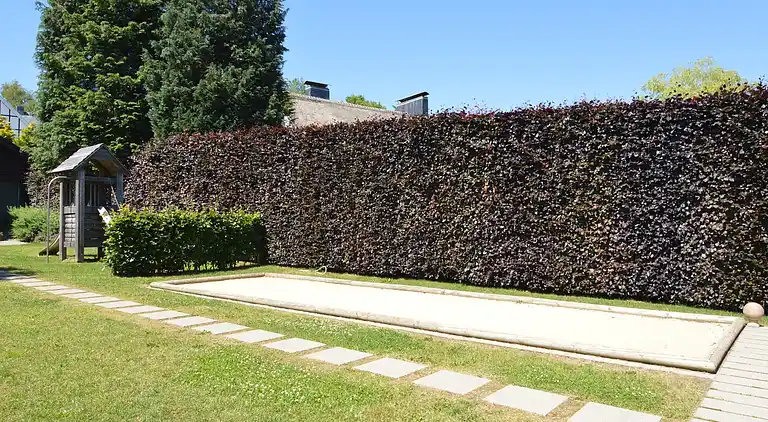 Feriebolig i Elsenborn