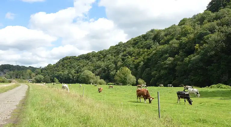 Holiday home in Pepinster