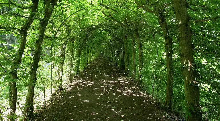 Feriebolig i La Reid