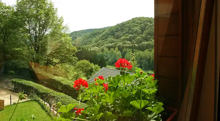 Holiday home in Remouchamps