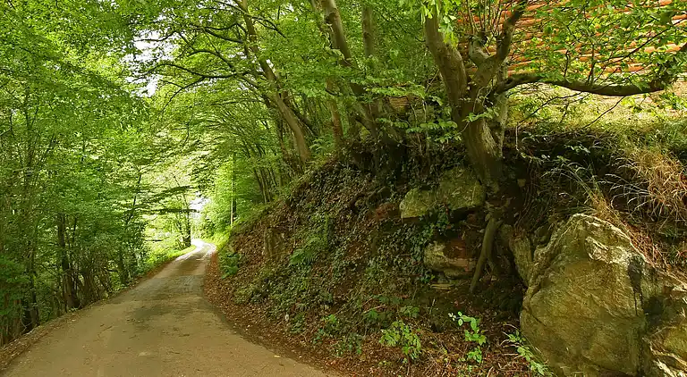 Holiday home in Remouchamps