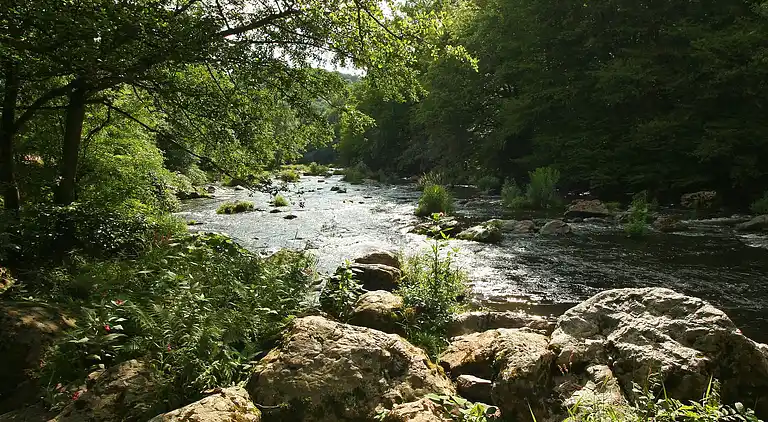 Sommerhus i Remouchamps