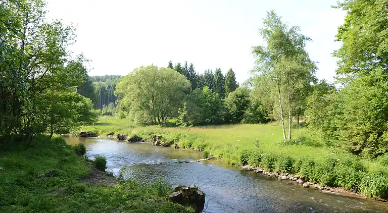 Holiday home in Waimes
