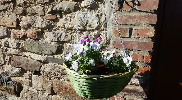 Sommerhus i Robertville