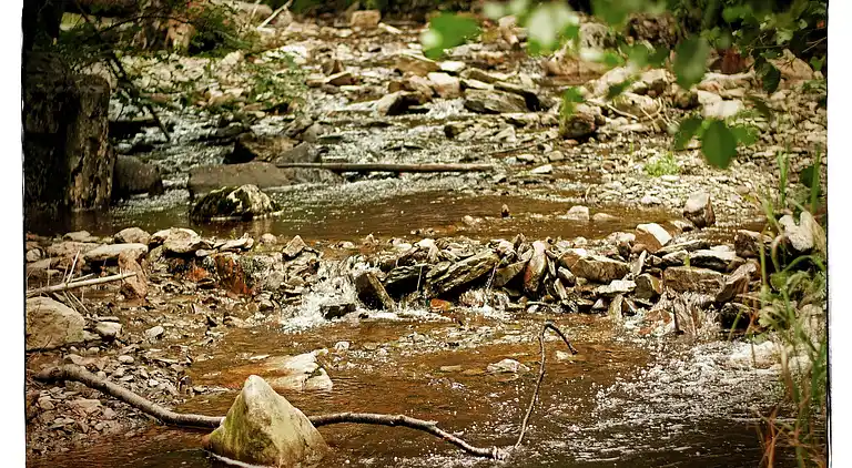 Holiday home in Robertville