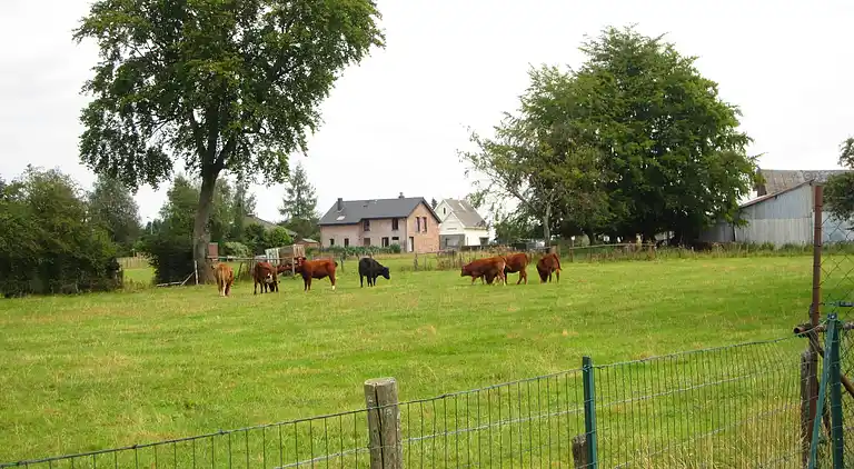 Holiday home in Robertville