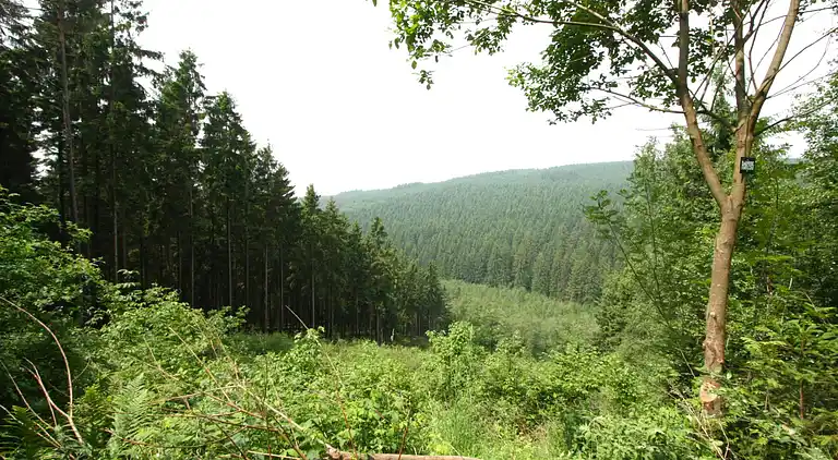 Ferielejlighed i Waimes