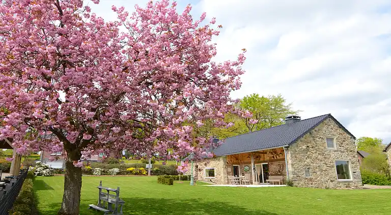 Holiday home in Waimes