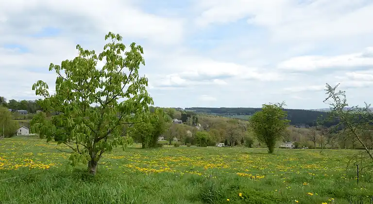 Holiday home in Waimes