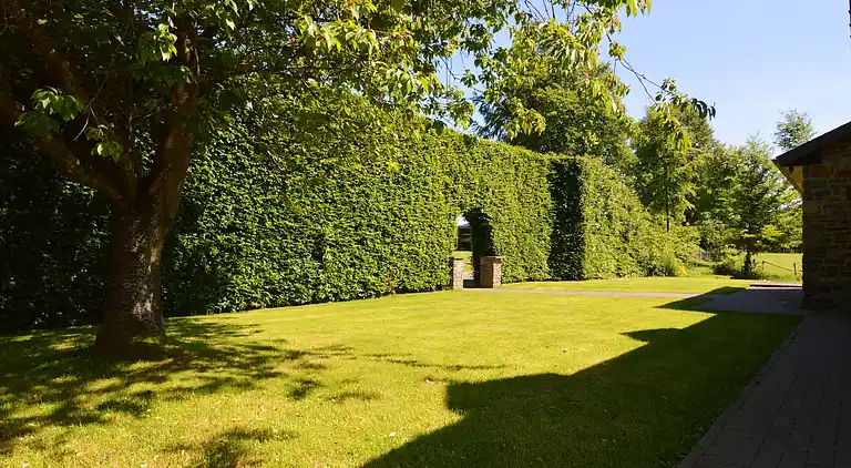 Holiday home in Robertville