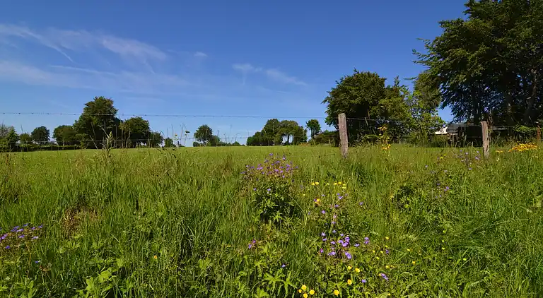 Holiday home in Robertville