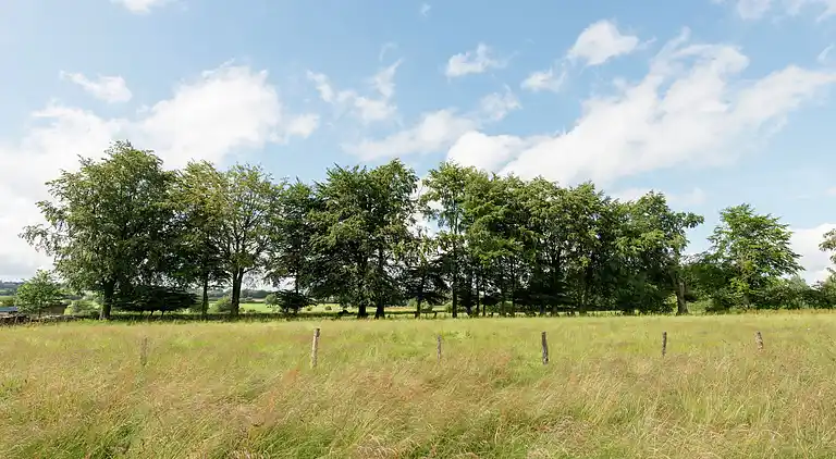 Sommerhus i Robertville