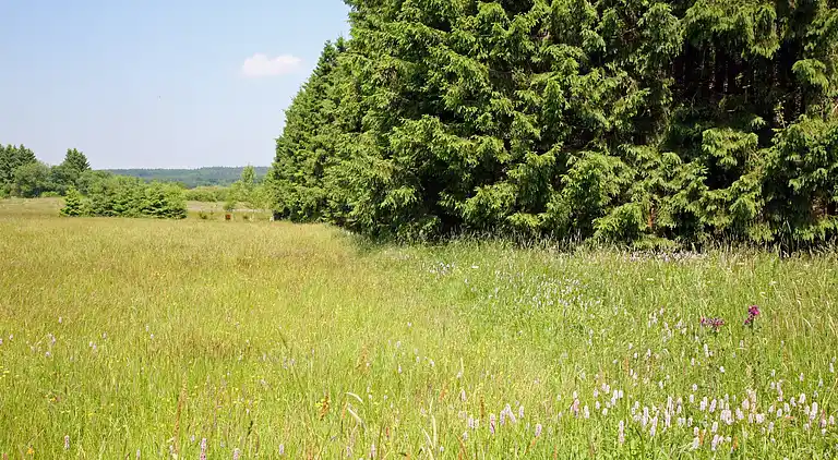 Cottage in Robertville