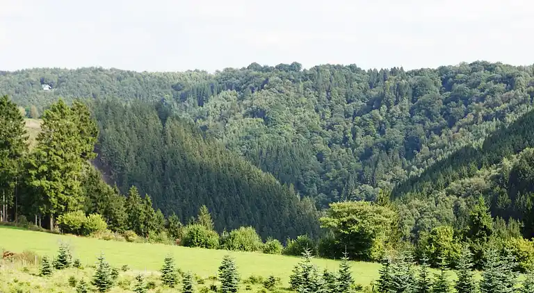 Holiday home in Malmedy