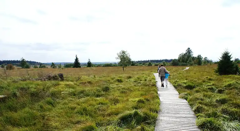 Sommerhus i Bévercé