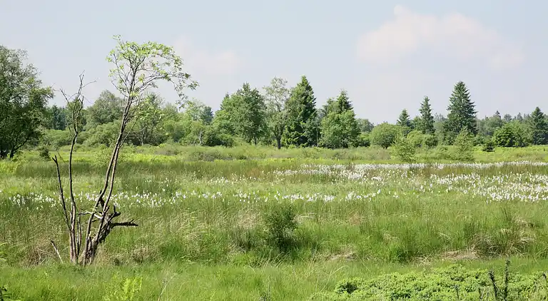 Vakantiehuis in Malmedy